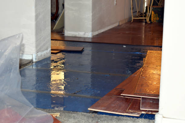 Professional Basement Flood Cleanup technician working in Kasota, MN